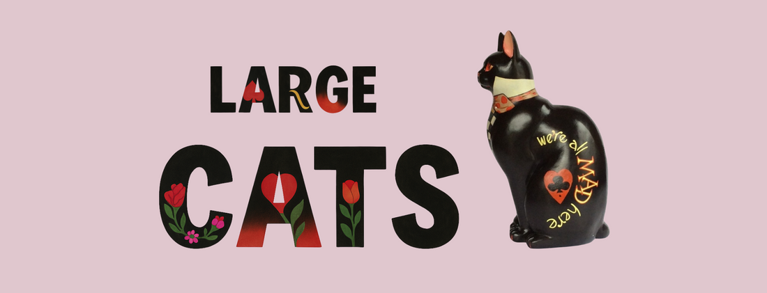 Large Cats Collection
