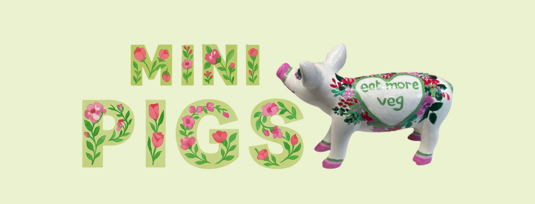 Mini Pigs Collection