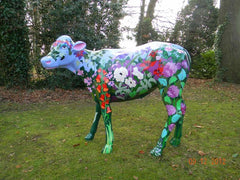 Baby Lamb for Private Buyer