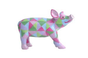 PP-R1384 Colour triangles on Mini Pig